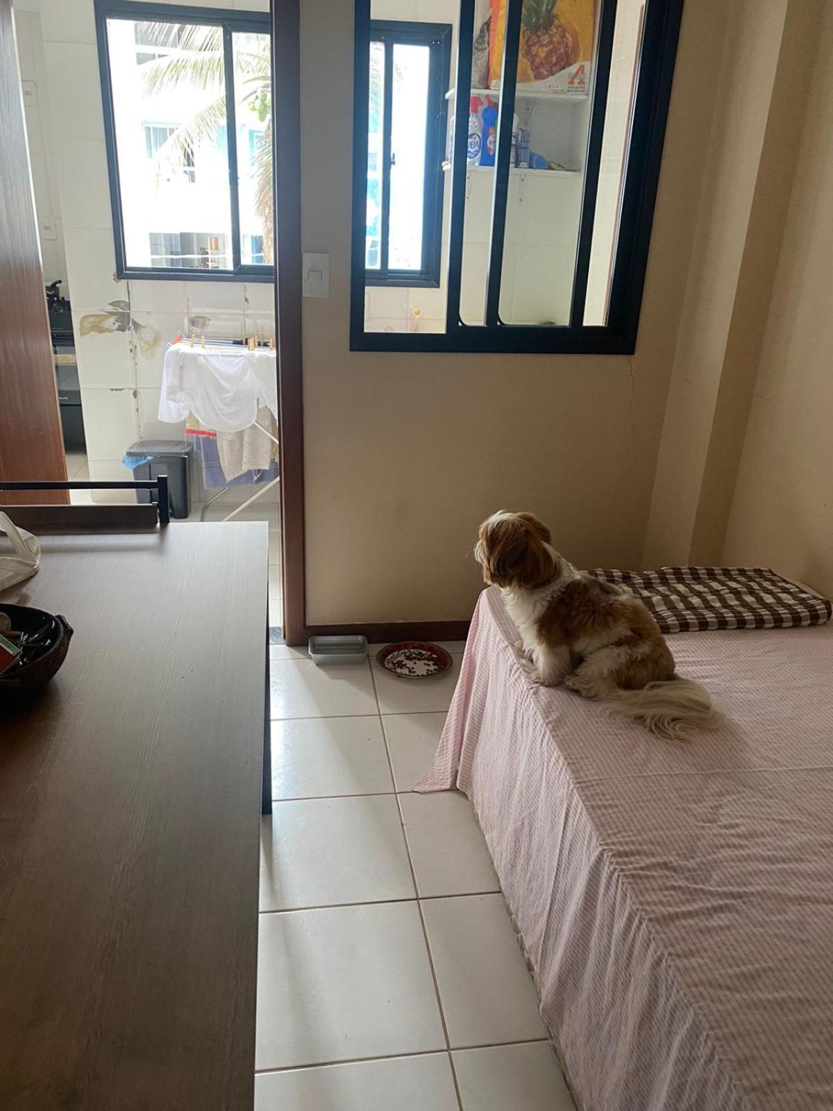 Apartamento Enseada Azul